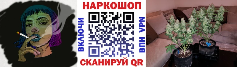 Наркошоп купить Метадон  Галлюциногенные грибы  Мефедрон  Бошки Шишки  АМФ  ГАШ  Покров