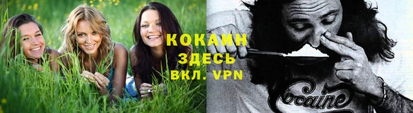 MESCALINE Богородицк