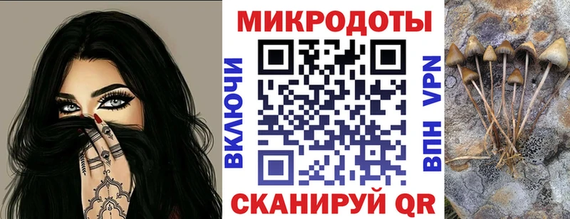 Купить где  Покров  Псилоцибиновые грибы Psilocybe 